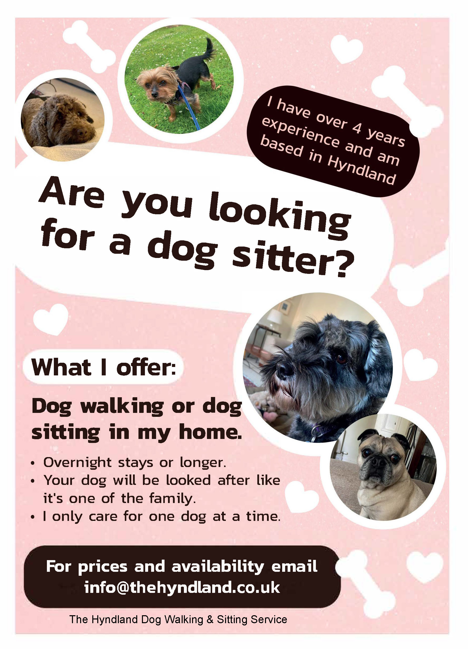 The Hyndland Dog Walking & Sitting Service